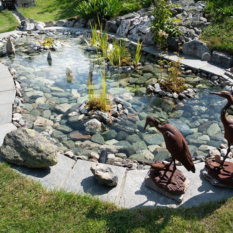 Bassin + jardin : comment penser un aménagement paysager harmonieux sur le Bassin d’Arcachon ? - Eau Zen Design